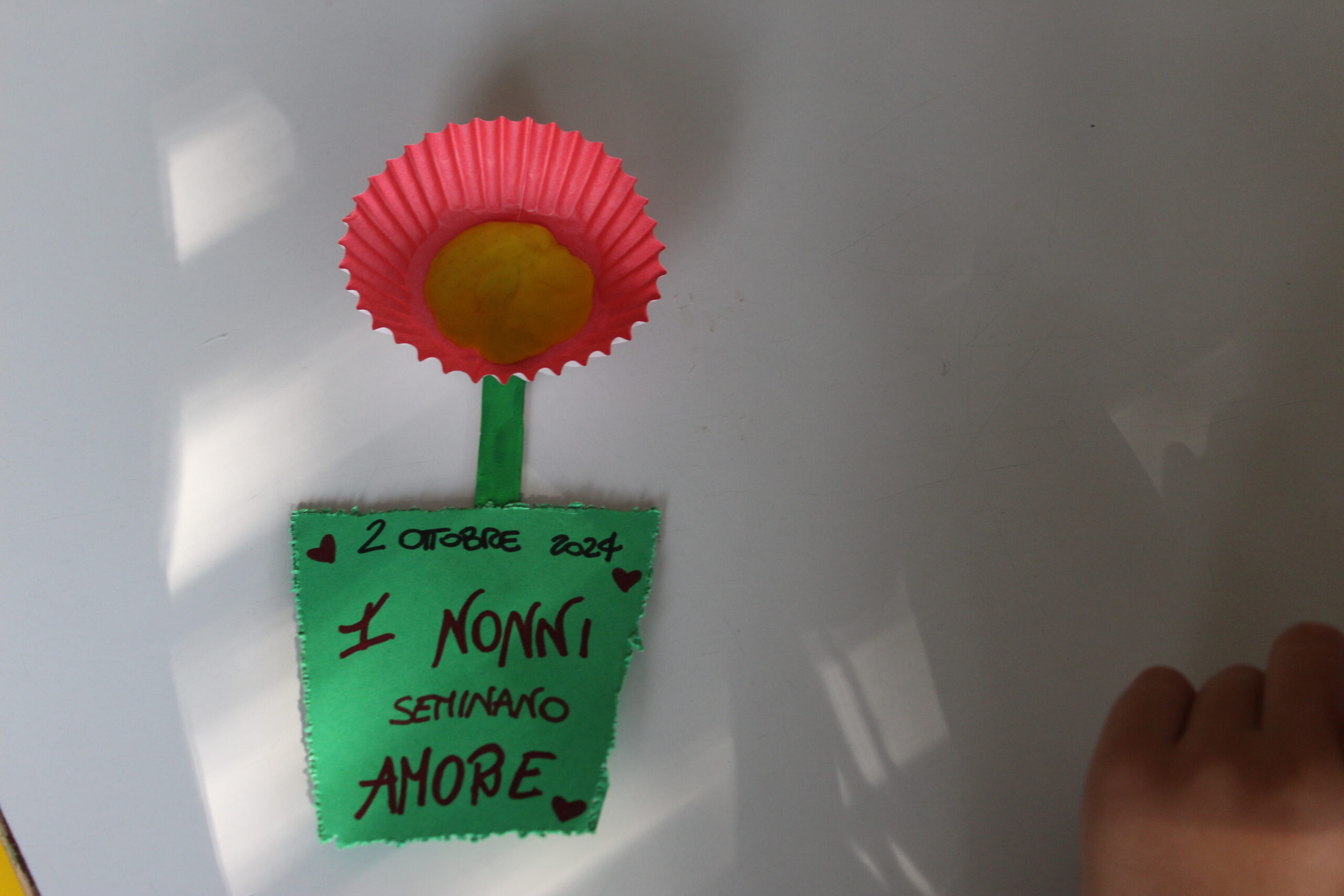 nonni64